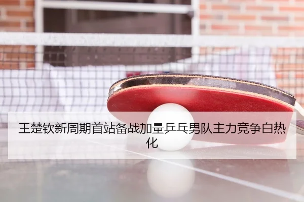 王楚钦新周期首站备战加量乒乓男队主力竞争白热化