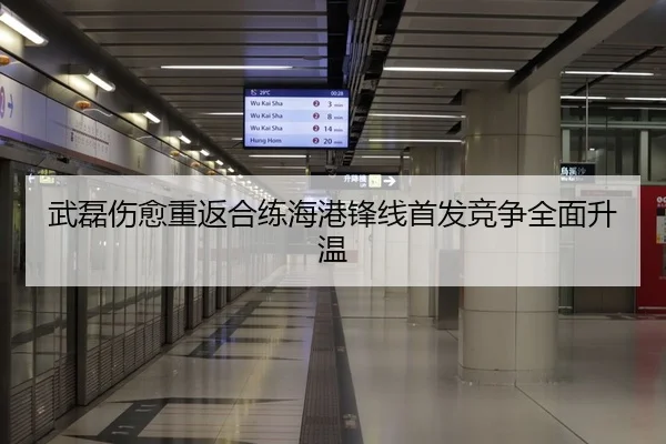 武磊伤愈重返合练海港锋线首发竞争全面升温